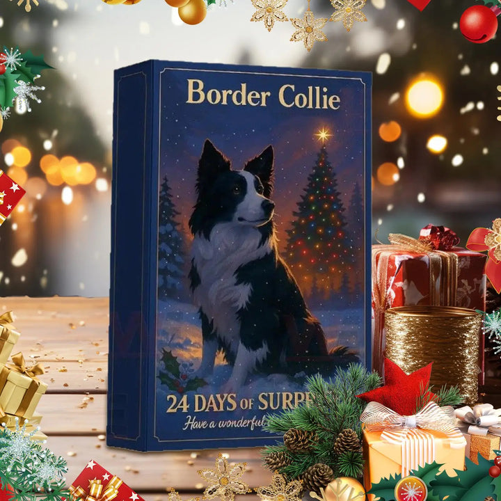 Border Collie | Advent Calendar 2025
