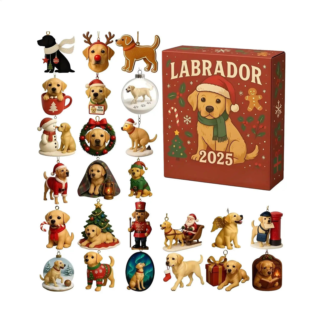 Labrador | Advent Calendar 2025